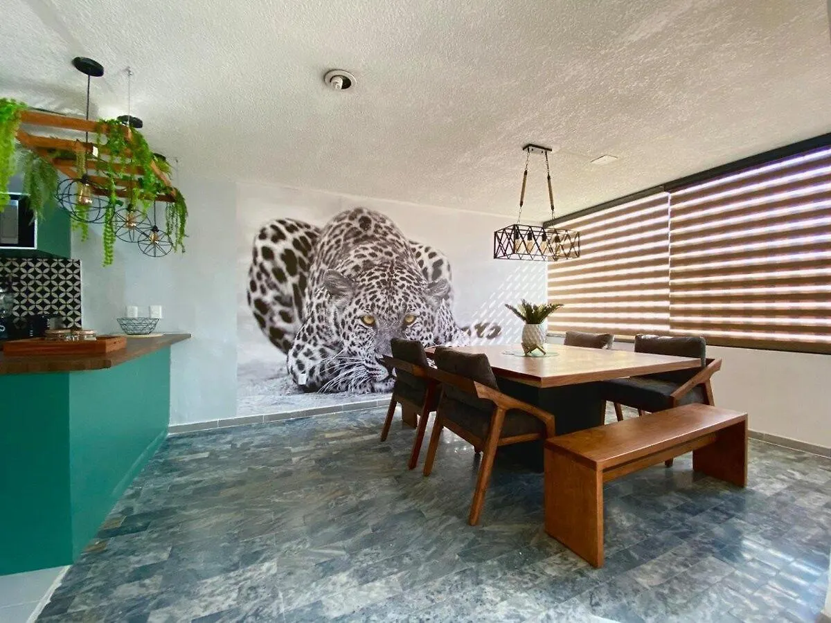 Planta Baja Enorme, Jardín, Parking, Hasta 11 Pax Apartamento Guadalajara México